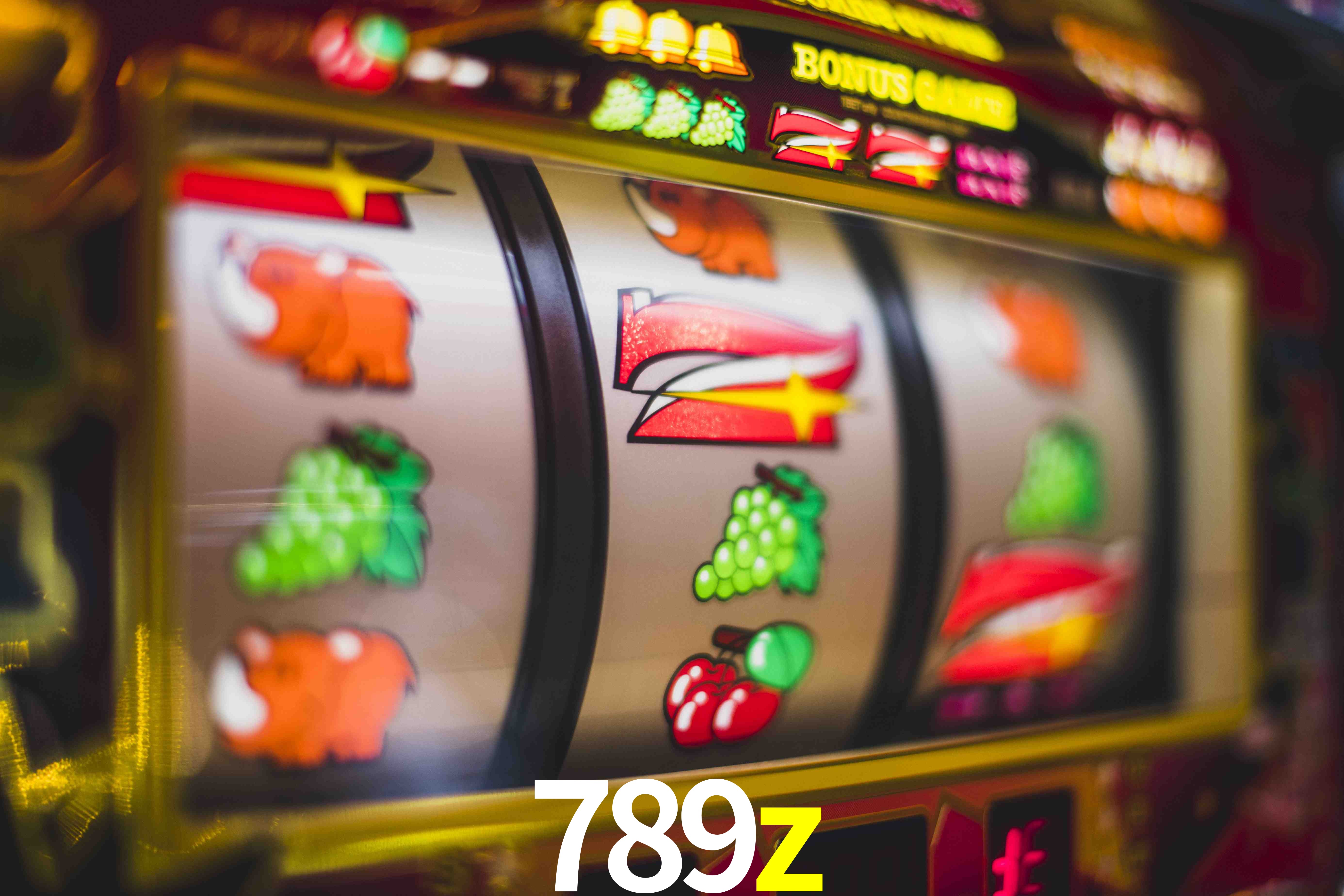 VIP Casino 789z